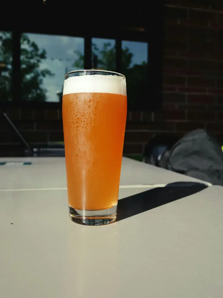 Craft IPA