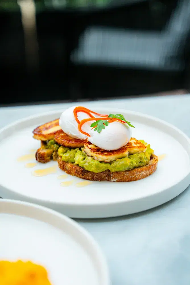 Avocado Toast