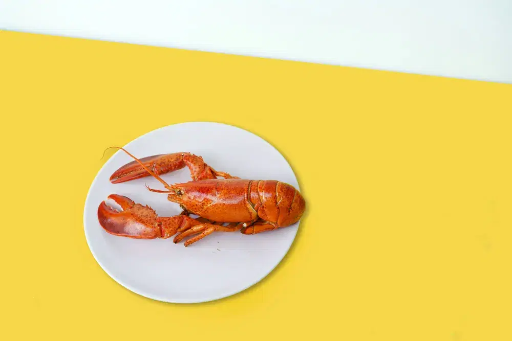 Grilled Lobster